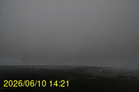 Img20260610_142125.jpg