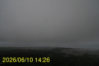 Img20260610_142625.jpg