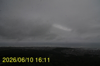 Img20260610_161126.jpg