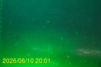 Img20260610_200127.jpg
