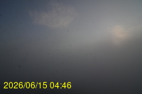 Img20260615_044647.jpg