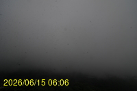 Img20260615_060647.jpg