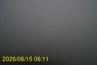 Img20260615_061147.jpg