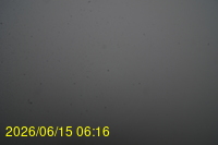 Img20260615_061647.jpg