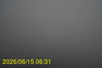 Img20260615_063148.jpg