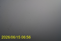 Img20260615_065648.jpg