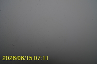 Img20260615_071148.jpg
