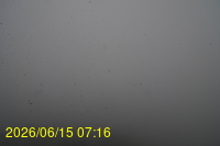 Img20260615_071648.jpg