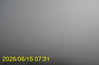 Img20260615_073148.jpg