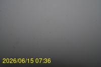 Img20260615_073648.jpg