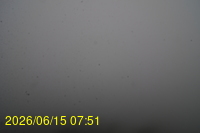 Img20260615_075148.jpg
