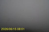 Img20260615_080148.jpg