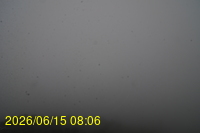Img20260615_080648.jpg