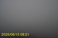 Img20260615_082148.jpg