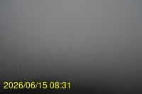 Img20260615_083148.jpg