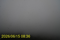 Img20260615_083648.jpg