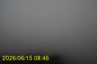 Img20260615_084648.jpg
