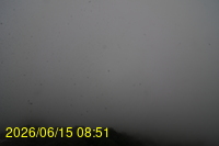 Img20260615_085148.jpg