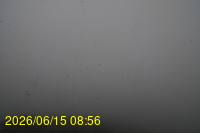 Img20260615_085648.jpg