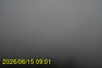 Img20260615_090148.jpg