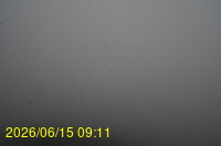 Img20260615_091148.jpg