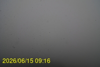 Img20260615_091648.jpg