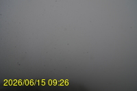 Img20260615_092648.jpg