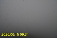 Img20260615_093148.jpg