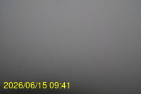 Img20260615_094148.jpg