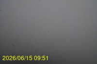 Img20260615_095148.jpg