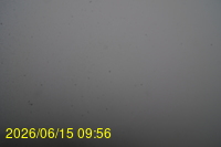 Img20260615_095648.jpg