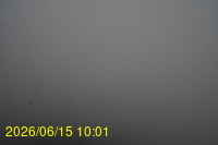 Img20260615_100148.jpg