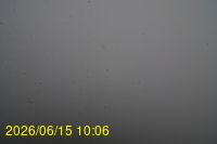 Img20260615_100648.jpg