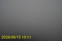 Img20260615_101148.jpg