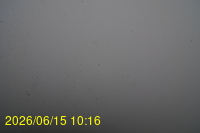 Img20260615_101648.jpg