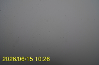 Img20260615_102648.jpg