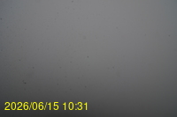 Img20260615_103148.jpg