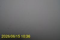 Img20260615_103648.jpg