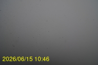 Img20260615_104648.jpg