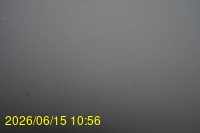 Img20260615_105648.jpg