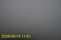 Img20260615_110148.jpg