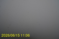 Img20260615_110648.jpg