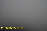 Img20260615_111148.jpg