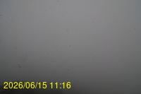 Img20260615_111648.jpg