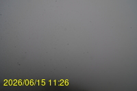 Img20260615_112648.jpg