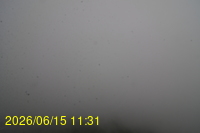 Img20260615_113148.jpg