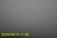 Img20260615_113648.jpg