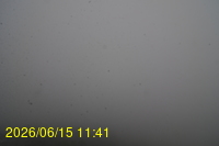 Img20260615_114149.jpg