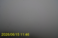 Img20260615_114649.jpg