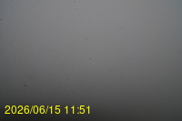 Img20260615_115149.jpg